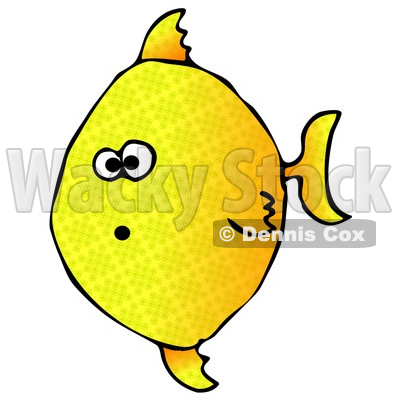 Shocked Yellow Angelfish Swimming Underwater Clipart Graphic Illustration © djart #12945