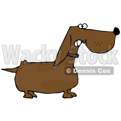 Mean Aggressive Dachshund Dog Growling Clipart Illustration © djart #13020