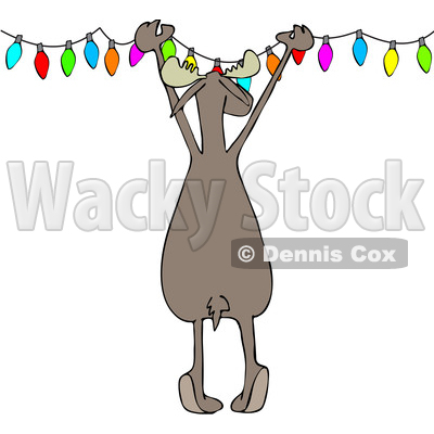 Clipart of a Cartoon Rear View of a Festive Moose Hanging Christmas Lights - Royalty Free Vector Illustration © djart #1362423