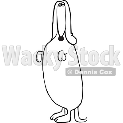 Clipart of a Cartoon Black and White Lineart Dachshund Dog Standing Upright and Begging - Royalty Free Vector Illustration © djart #1392884