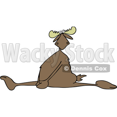 Clipart of a Cartoon Moose Doing the Splits, with a Painful Expression - Royalty Free Vector Illustration © djart #1400838