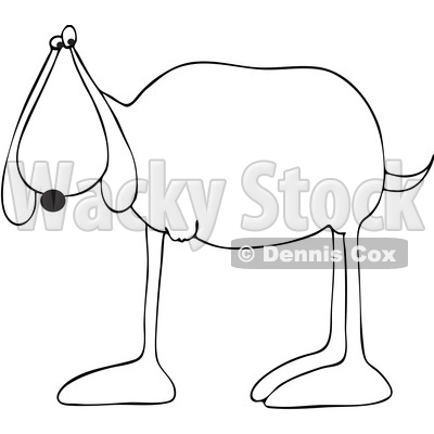 Clipart Graphic of a Cartoon Black and White Lineart 3 Legged Dog - Royalty Free Vector Illustration © djart #1451484