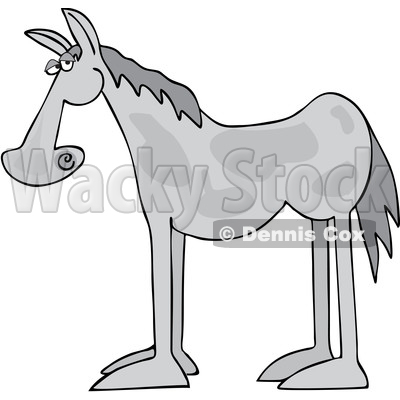 Cartoon Gray Horse in Profile © djart #1690716