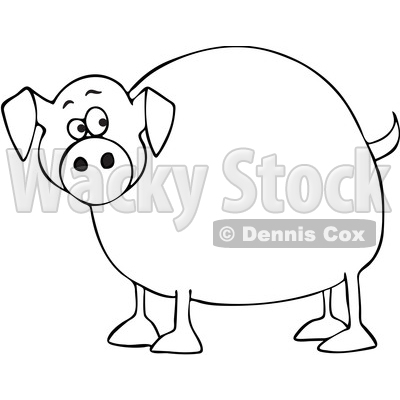 Cartoon Chubby Pig © djart #1690826