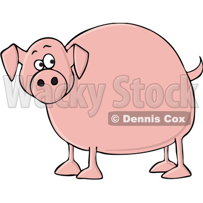 Cartoon Chubby Pig © djart #1690830