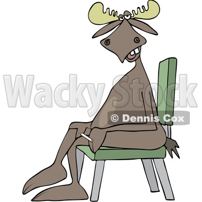 Cartoon Moose Sitting Cross Legged in a Chair © djart #1750152