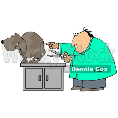 Clipart Illustration of a Nervous Brown Dog Cowering On An Exam Table As A White Male Vet Holds A Pair Of Scissors And Prepares To Neuter Him © djart #18946