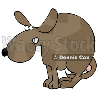 Clipart Illustration of a Scared Dog At The Vets Office, Cowering With His Tail Tucked Between His Legs, Protecting His Testicles Before Getting Neutered © djart #18947