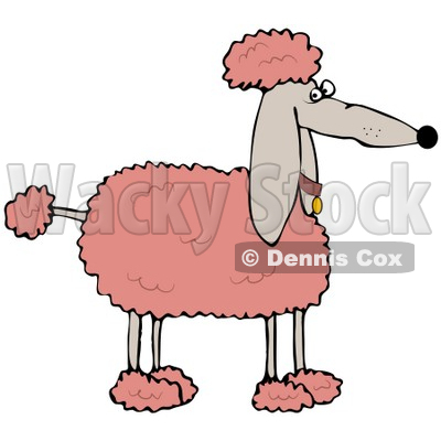Clipart Illustration of a Fluffy Pink Groomed Poodle Dog In Profile © djart #33818