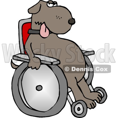 Injured Dog Sitting In a Wheelchair Clipart © djart #4356