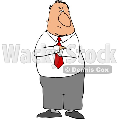 Mad Businessman Standing with His Arms Crossed with an Angry Face © djart #4677