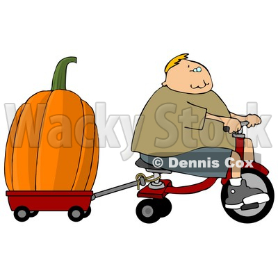 Boy Towing an Oversized Pumpkin Behind His Tricycle Clipart © djart #4862