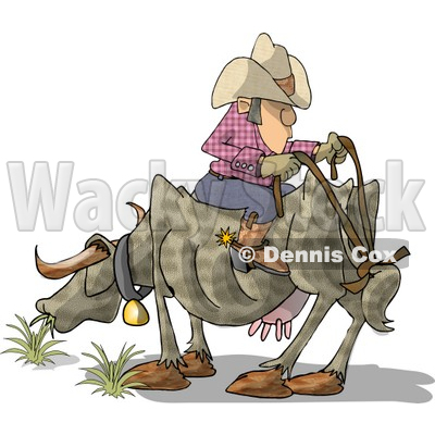Funny Cowboy Sitting Backwards On Cow Clipart © djart #5145