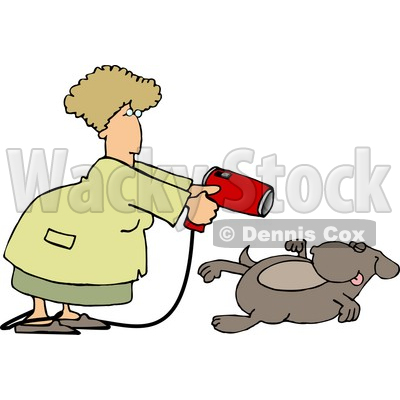 Female Groomer Blow Drying a Dog Clipart Picture © djart #6273