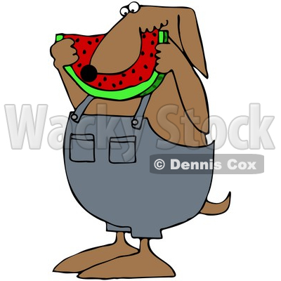 Royalty-Free (RF) Clipart Illustration of a Brown Dog Eating A Slice Of Watermelon © djart #70268
