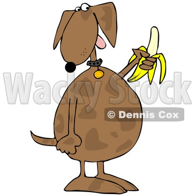 Royalty-Free (RF) Clipart Illustration of a Brown Dog Eating A Banana © djart #70270