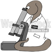 Royalty-Free Clip Art Illustration of a C Elegans Roundworm Viewing Through A Microscope © djart #1053108