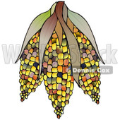 Clipart Colorful Indian Corn - Royalty Free Illustration © djart #1091980