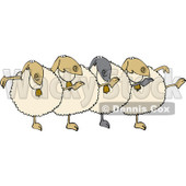 Cartoon Of A Chorus Of Sheep Dancing The Can Can - Royalty Free Vector Clipart © djart #1137148