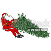 Clipart of Santa Tugging on a Fresh Cut Christmas Tree - Royalty Free Illustration © djart #1224724