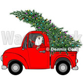 Clipart of Santa Driving a Fresh Cut Christmas Tree with Lights in a Red Pickup Truck - Royalty Free Illustration © djart #1273852