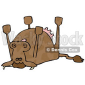 Dead Cow Lying on its Back, its Feet Strait up Clipart Illustration © djart #12934
