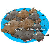 Group of Schooling Cow Fish Clipart Graphic Illustration © djart #12952
