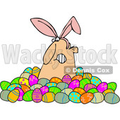 Clipart of a Grumpy White Man Wearing Bunny Ears and Popping out of a Pile of Decorated Easter Eggs - Royalty Free Vector Illustration © djart #1385550