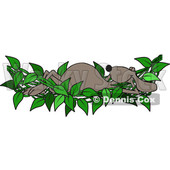Clipart of a Cartoon Brown Dog Relaxing in a Leafy Vine Hammock - Royalty Free Vector Illustration © djart #1391382