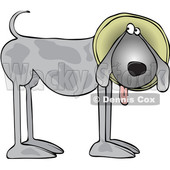 Cartoon Gray Dog Wearing a Cone © djart #1625609