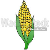 Royalty-free Clipart of Sweet Yellow Corn On the Cob © djart #17529
