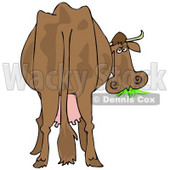 Clipart Illustration of a Brown Dairy Cow With Udders, Looking Back At The Viewer And Grazing On Grass © djart #24417