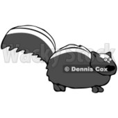 Clipart Illustration of a Nervous Black Skunk With White Stripes On Its Back, Standing Still And Looking At The Viewer © djart #30272