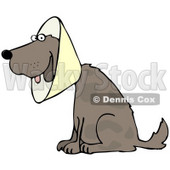 Clipart Illustration of a Brown Dog Wearing An Elizabethan Collar While Recovering © djart #36997