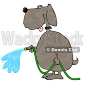 Human-like Dog Watering Outdoor Plants with a Standard Household Garden Hose Clipart © djart #4895