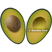 Sliced In Half Avocado Fruit with Seed Clipart Illustration © djart #5600