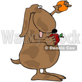 Royalty-Free (RF) Clipart Illustration of a Brown Dog Comparing An Apple And Orange © djart #70269
