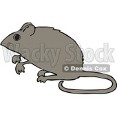 Royalty-Free (RF) Clipart Illustration of an Alert Mouse Standing Up On His Hind Legs © djart #99171